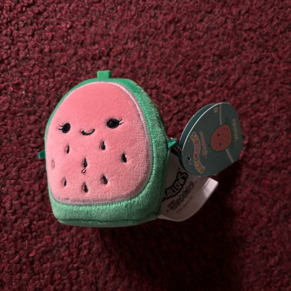 Squishmallows Wanda the Watermelon 2.5” Micromallow Stuffed Plush